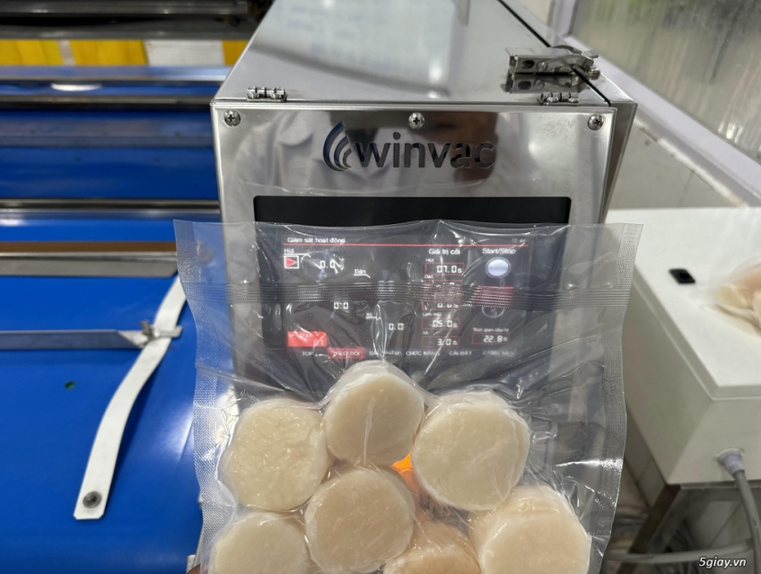 Máy hút chân không băng tải Winvac