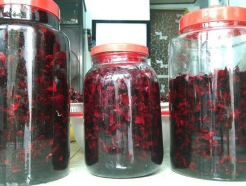 Bạn Có Biết Cách Làm Rượu Atiso Đỏ Tốt Cho Sức Khỏe Chưa?