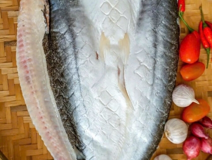 Khô Cá Dứa Cần Giờ Nhà Làm - Có hướng dẩn phân biệt thật giả