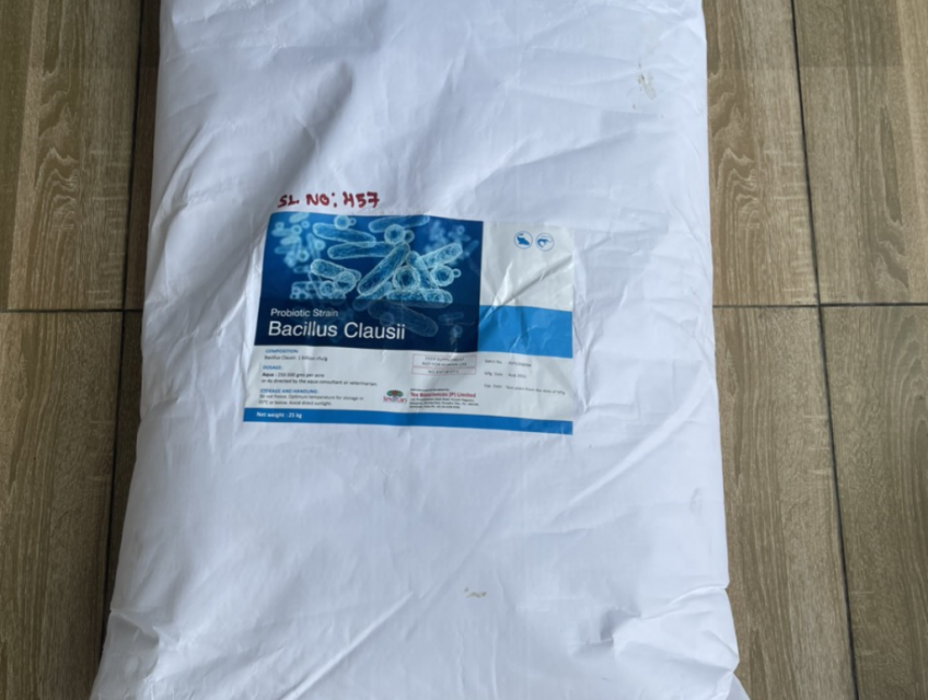 Bán Men vi sinh Bacillus clausii 5 tỷ, 10 tỷ hàng ấn độ giá sỉ