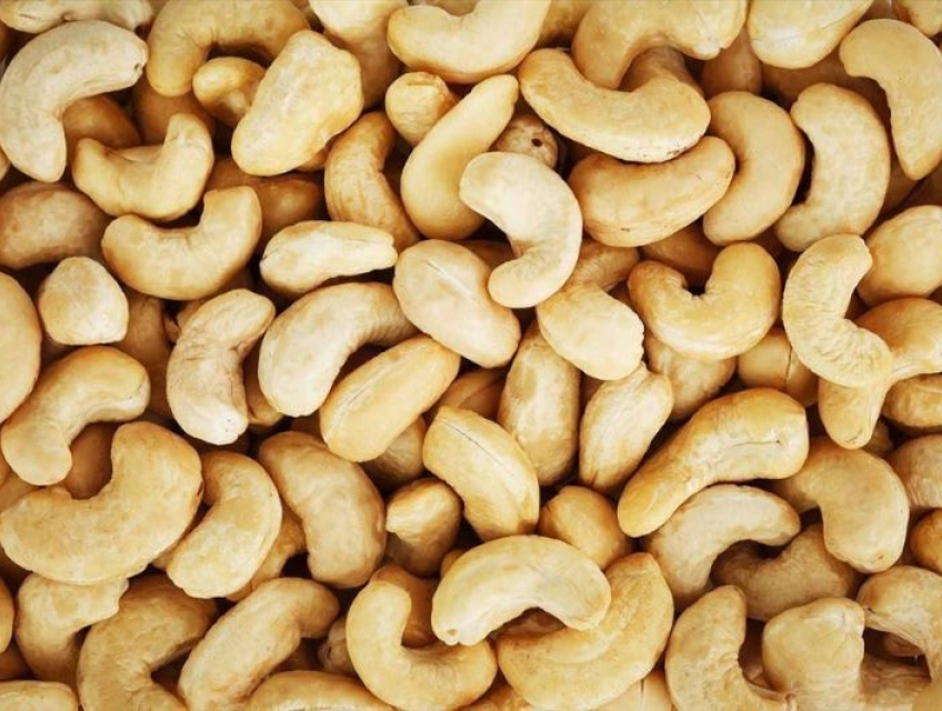 Các sản phẩm hạt điều phổ biến hiện nay