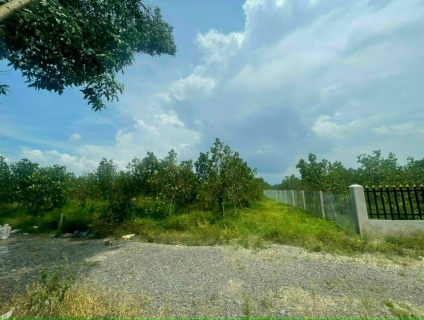 Cần tiền bán lô đất DT 761, Thanh Sơn, Định Quán, Đồng Nai