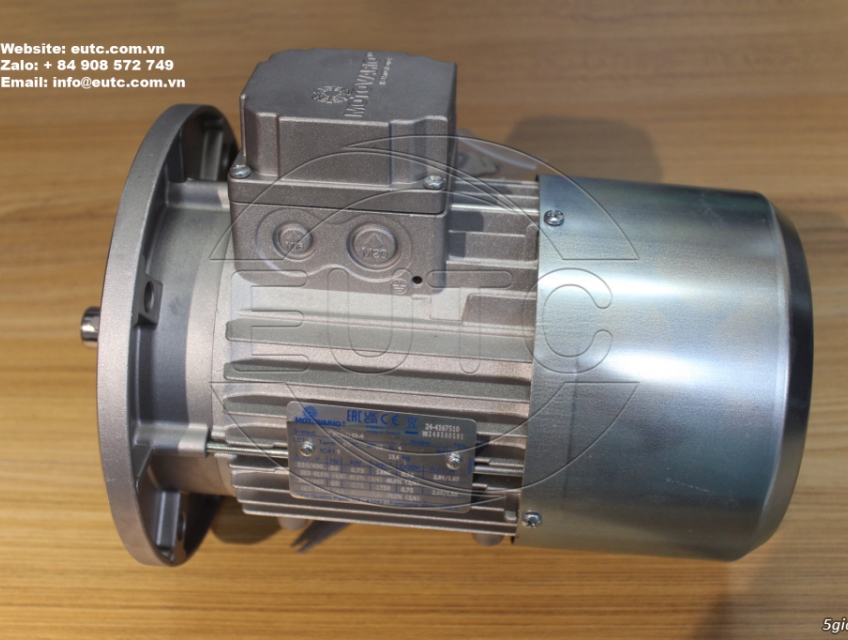 Động cơ Motovario