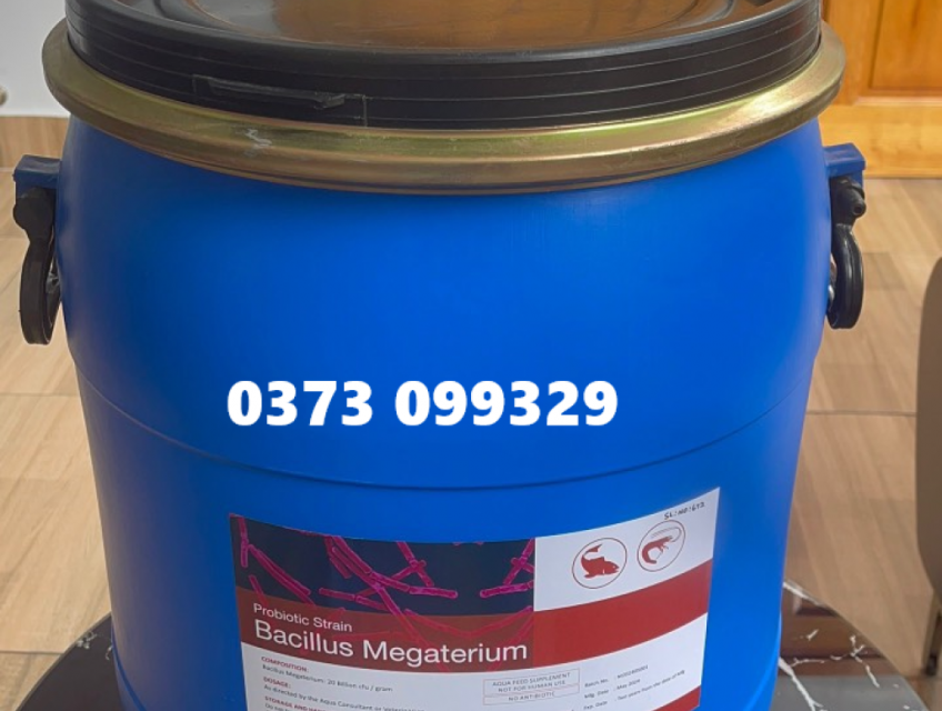 Bán vi sinh nguyên liệu Bacillus Megaterium giá sỉ