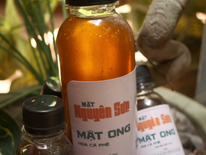 Mật Ong Hoa Cà Phê Tây Nguyên: Bí Quyết Dinh Dưỡng & Sức Khỏe Toàn Diệ