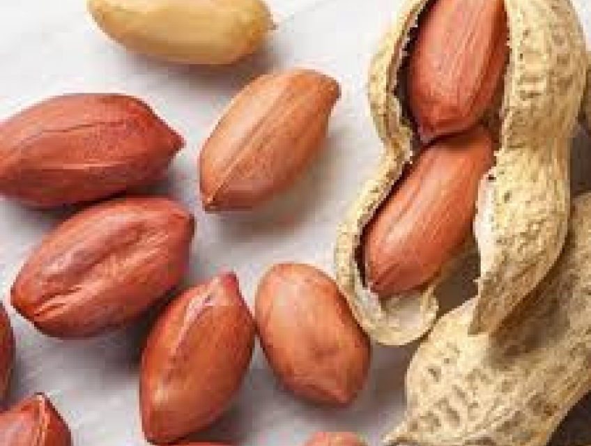 Tác Dụng Của Hạt Đậu Phộng: Ăn Hạt Đậu Phộng Có Mập Không?