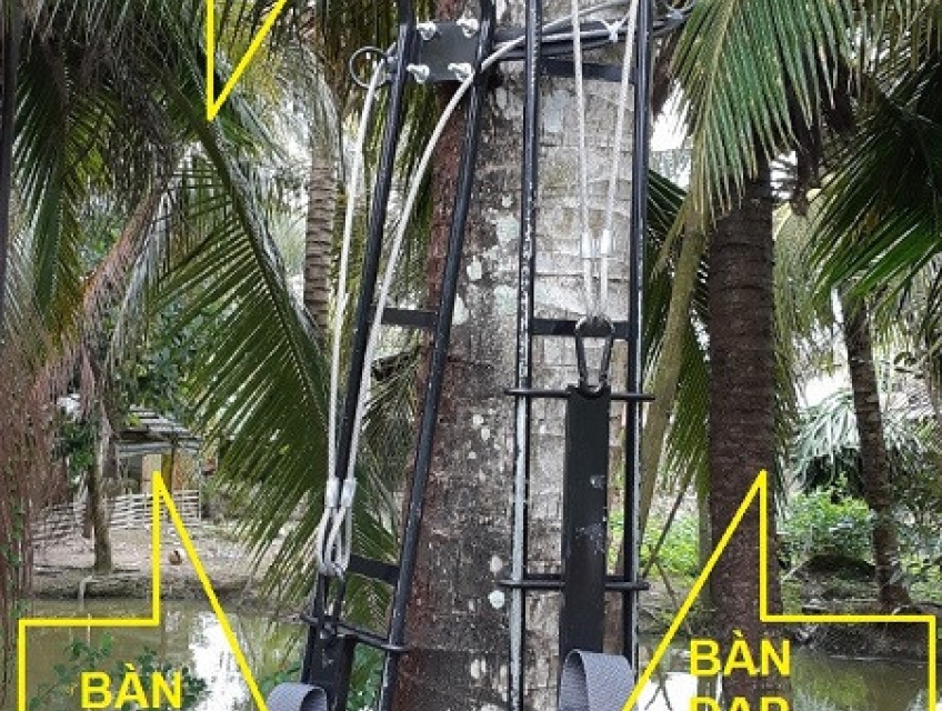 Dụng cụ leo dừa kiểu đứng leo