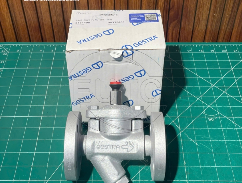 Van xả khởi động GESTRA