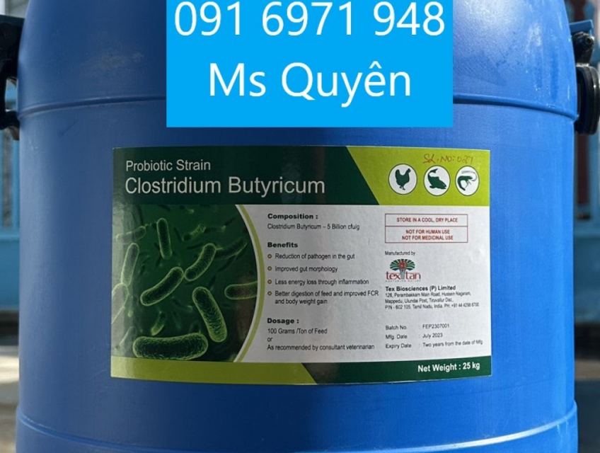 Men vi sinh cho tôm cá CLOSTRIDIUM BUTYRICUM Ấn Độ