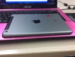 Ipad Mini 2 4G 16Gb Grey