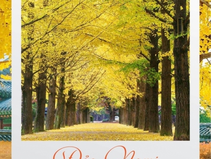 Du lịch Hàn Quốc - Khám phá Đảo Nami 5N4Đ