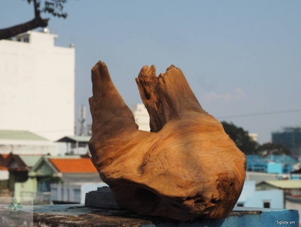 Lủa Ngọc Am Hà Giang cực đẹp!