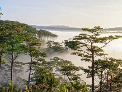 Tour du lịch Đà Lạt 3 ngày 2 đêm giá rẻ chất lượng tốt