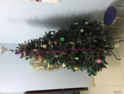 Cần bán: Cây thông Noel mới 90%