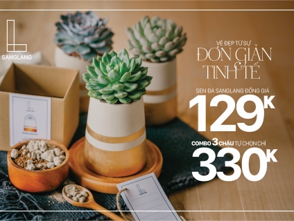 Sanglang: Sen Đá và Cây Nội Thất - Sang Trọng và Tinh Tế