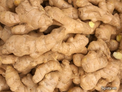 Tìm nhà cung cấp khoai lang nhật, ớt và gừng xuất khẩu