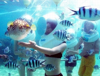 Tour đi bộ dưới biển Nha Trang