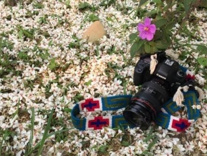 BÌNH LIÊU MÙA #HOA_SỞ NỞ TRẮNG VÙNG BIÊN