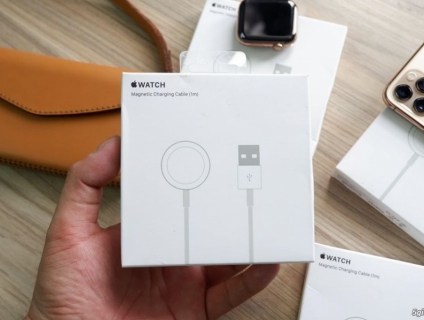 Apple Watch Magnetic Charging Cable (1 m)