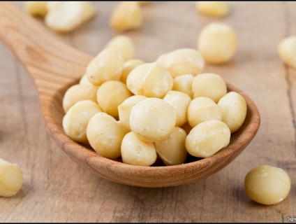 QUÀ TẾT TỪ HẠT MẮC CA