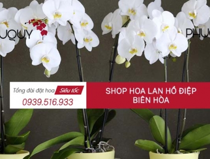 Chi nhánh shop Hoa Lan Hồ Điệp Biên Hòa - Hoa Lan Phú Quý