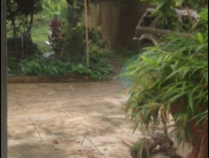 Ford Escape cuối 2004 máy 2.3 lợi xăng 9-10 lít/100km bao test