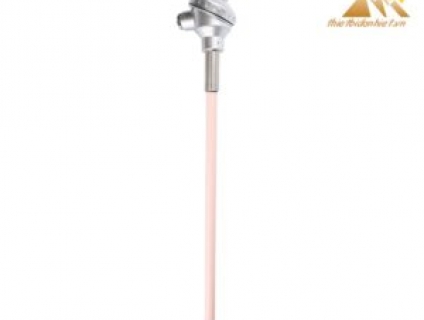 Can Nhiệt Sứ B Phi 17 Dài 600mm