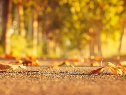 Tamron 17-50mm f2.8 VC AF Nikon