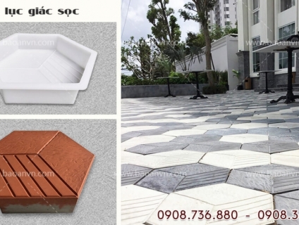Khuôn gạch block lục giác sọc được ưa chuộng nhất