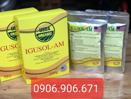 KHÁNG SINH IGUSOL-AM