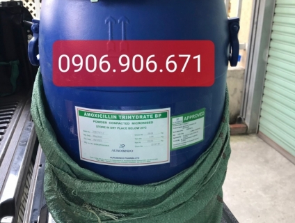 AMOXICILLIN TRIHYDRATE NGUYÊN LIỆU