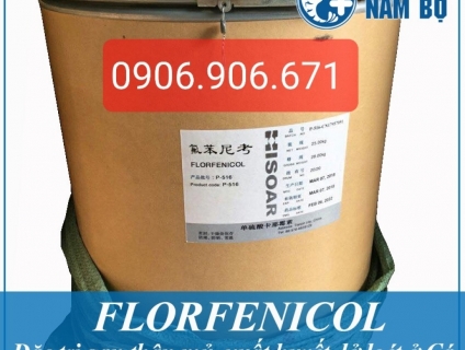 FLORFENICOL KHÁNG SINH NGUYÊN LIỆU