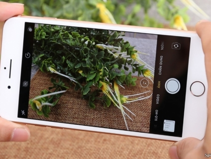 >>DUY NHẤT #NGÀY_11_11 - LỄ HỘI ĐỘC THÂN<<