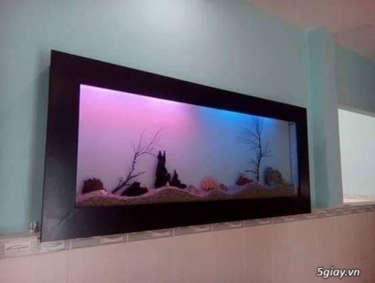 Bán hồ cá treo tường đẹp