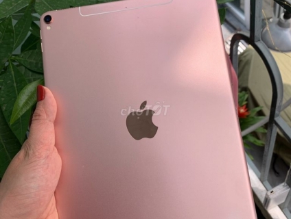 IPad Pro 4G + wifi 64G màu Hồng 98% hàng Mỹ