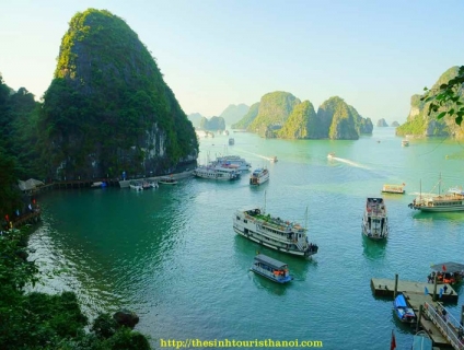 tour hạ long 1 ngày của thesinh tourist