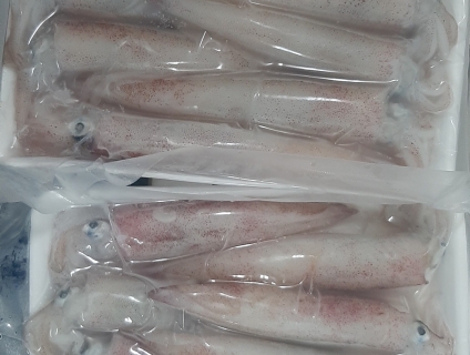 Cần bán mực ghim hàng cao cấp cung cấp nhà hàng sỉ lẻ