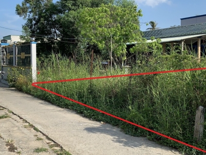 Đổi bằng lái xe quốc tế để đi du lịch