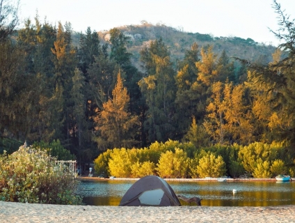 Kinh nghiệm phượt hồ Tràm – Thiên đường sống ảo cực “chill”