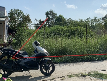 Hướng dẫn trồng và chăm sóc cây Việt Quất?