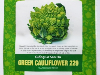 Phân phối Hạt giống Bông cải súp lơ các loại thương hiệu Rạng Đông