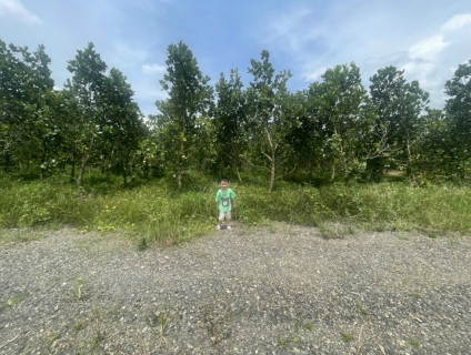 Bán đất đường DT 761, x.Thanh Sơn, Định Quán, Đồng Nai