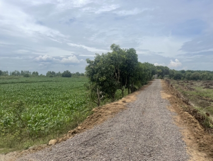 Bán lô đất đường 30/4, Phú Bình, Tân Phú, Đồng Nai 3,35tỷ