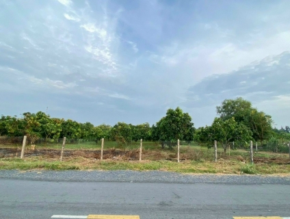 Cần bán lô đất mặt tiền đường Duyên Hải, Long Hoà, Cần Giờ