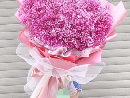 Hoa bi hồng giá rẻ tại Hồ Chí Minh