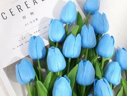 Mẫu hoa Tulip xanh làm xao xuyến người yêu