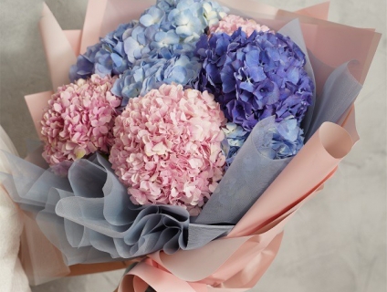 Hoa cẩm tú cầu trắng giá tốt tại Sài Gòn