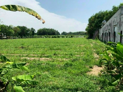 Bán lô đất mặt tiền Trương Thị Kiện, x.Thái Mỹ, Củ Chi