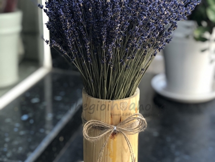 Hoa oải hương lavendin giá tốt tại HCM