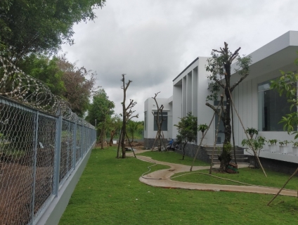 Cập nhật ngay đơn vị thi công cây xanh công trình chất lượng